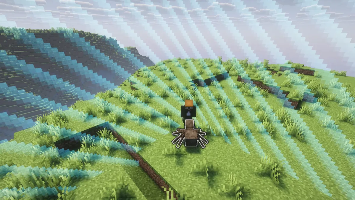 Ein Spieler steht einer Spinne innerhalb der blauen Chunk-Grenze gegenüber.