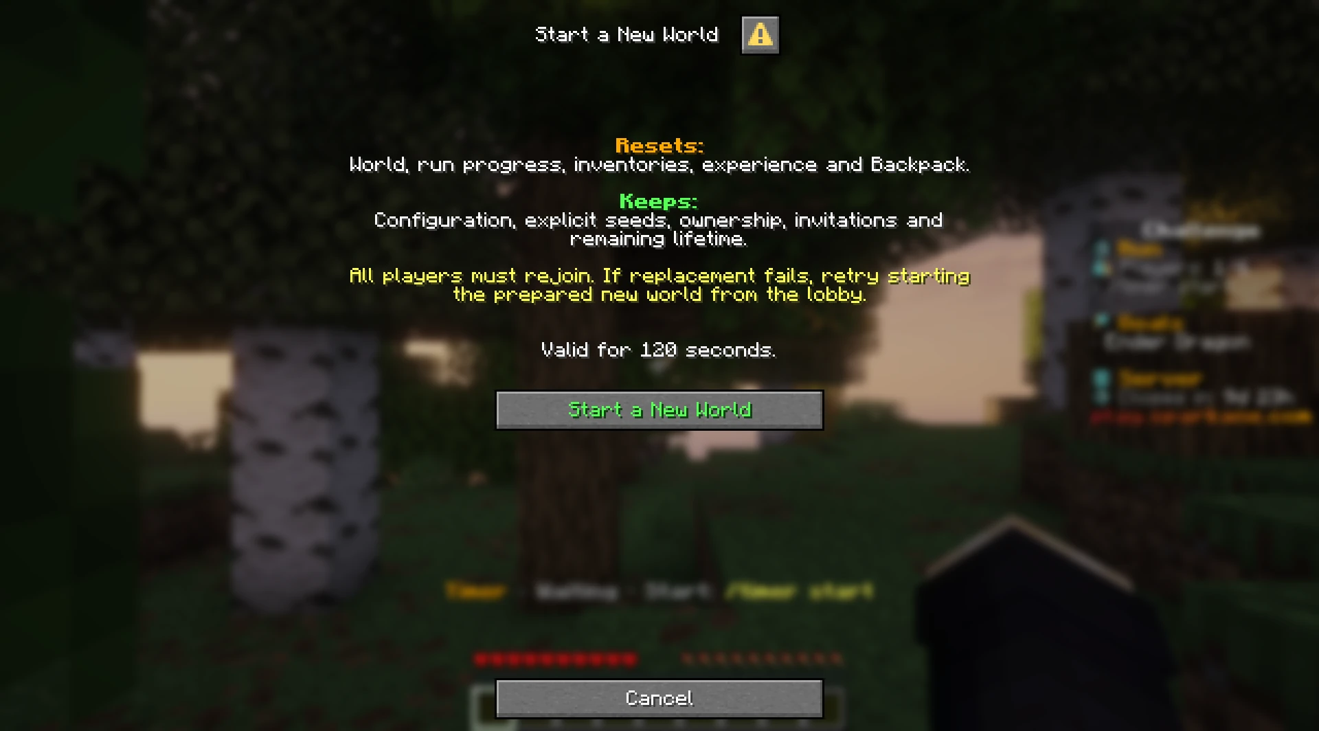 Start a New World confirmation showing what resets and what stays