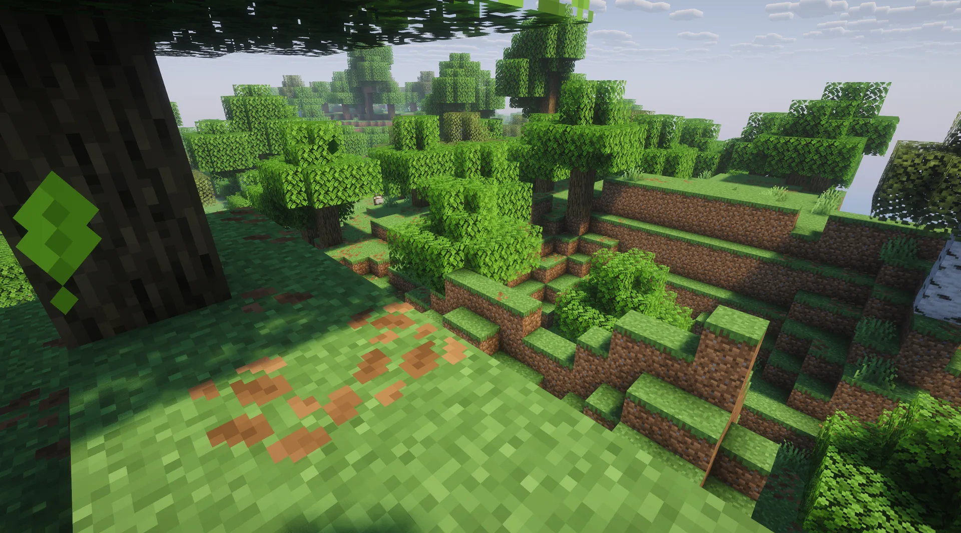 View from a wooded starting point down a steep grassy slope between trees.