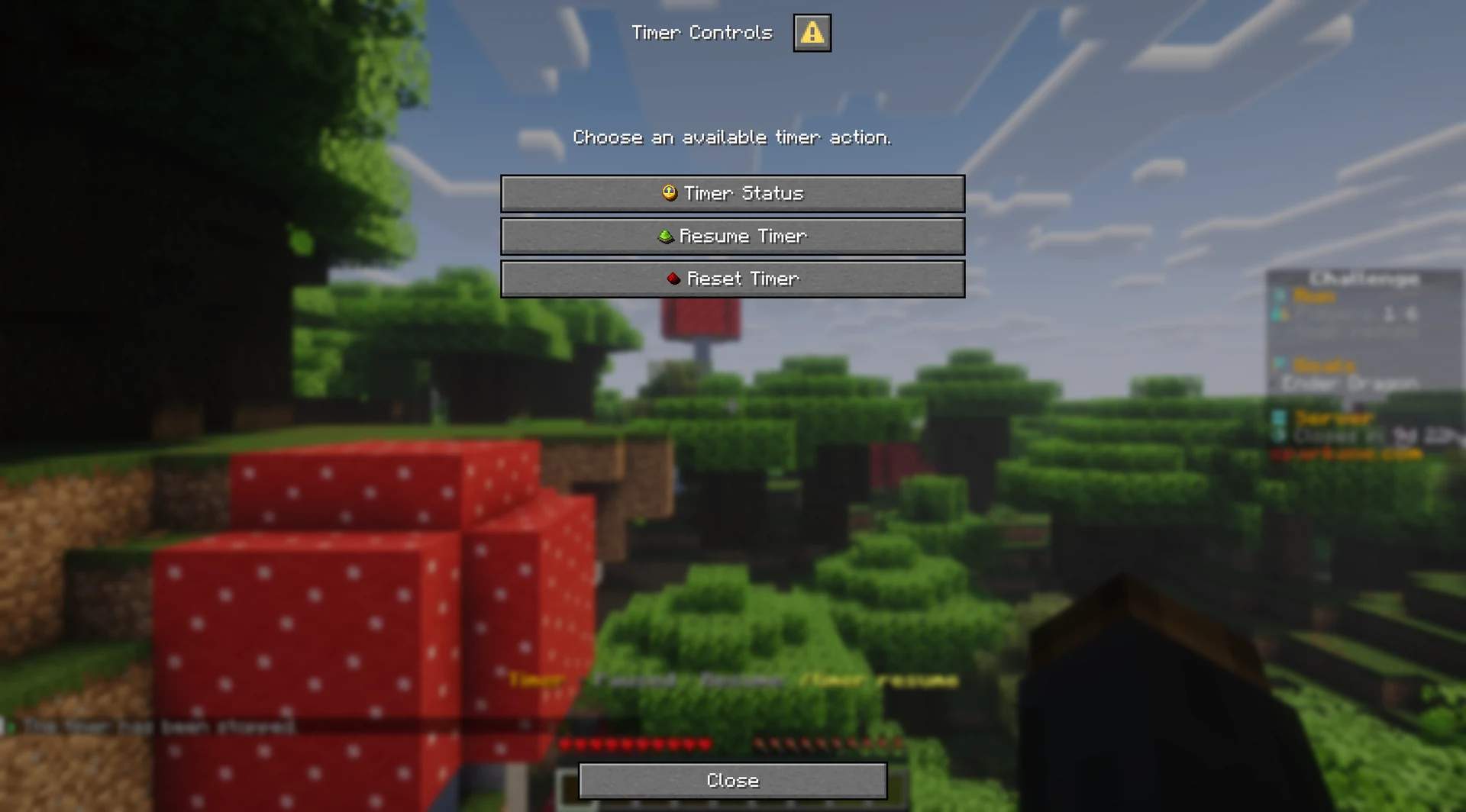 Paused timer menu with status and Resume and Reset actions